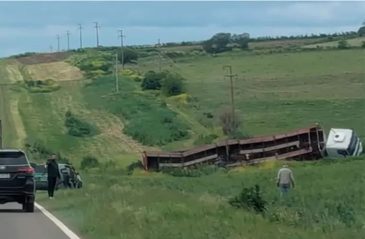 Un camión que transportaba vacunos despistó en la ruta 131, cerca de Diamante. Foto: (El Observador del Litoral)